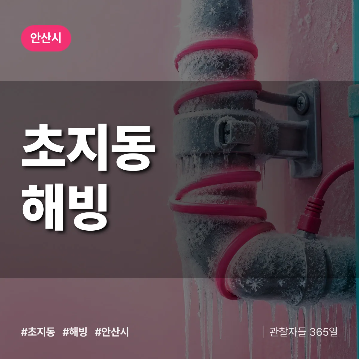 초지동 해빙 배너