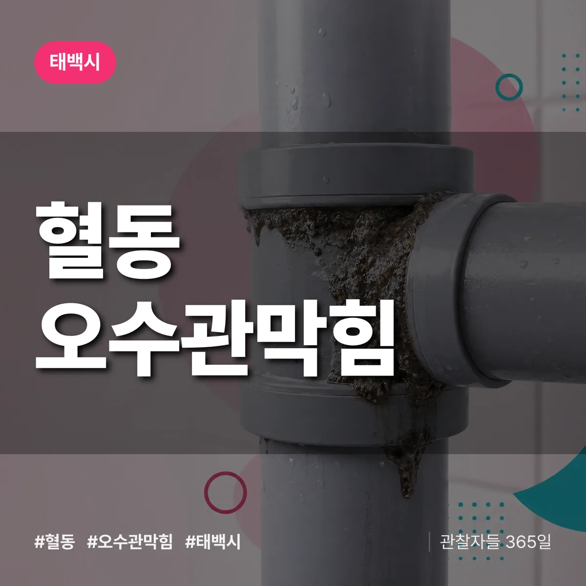 혈동 오수관막힘 배너