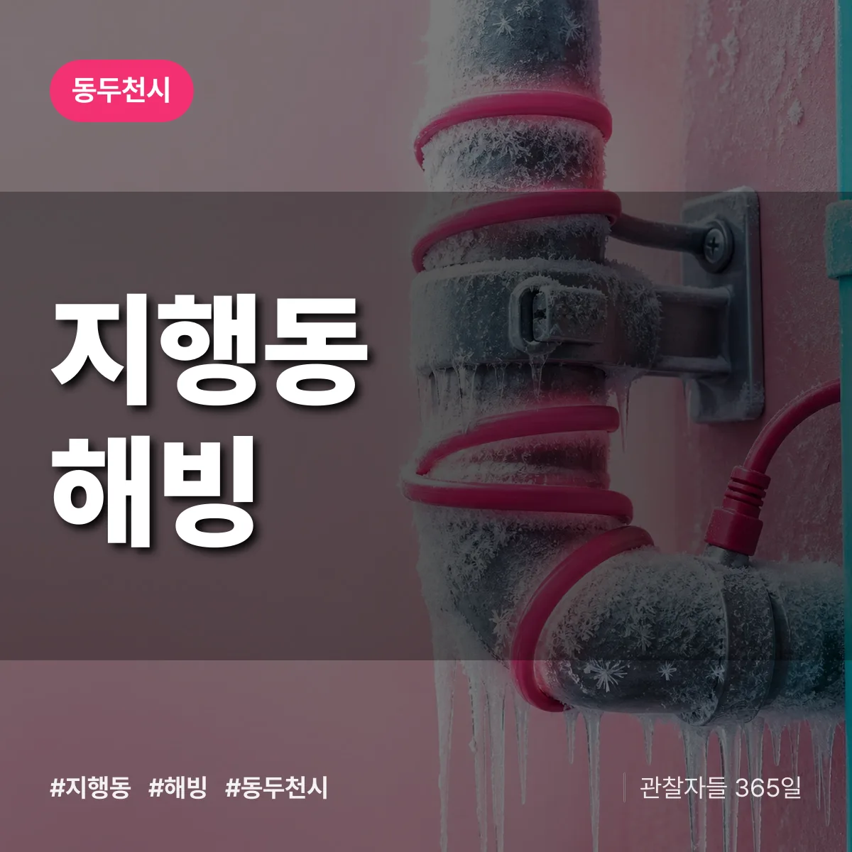 지행동 해빙 배너