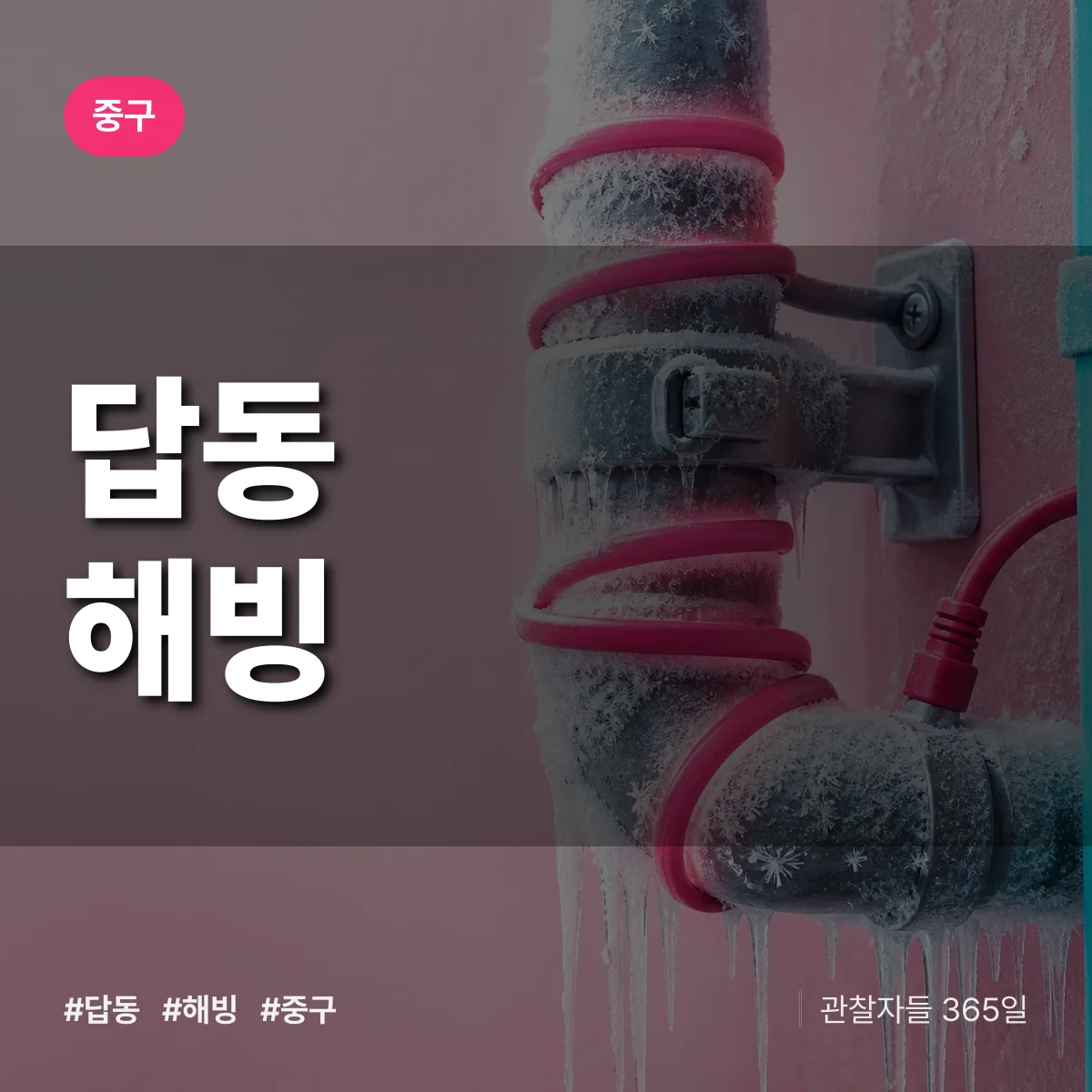 답동 해빙 배너
