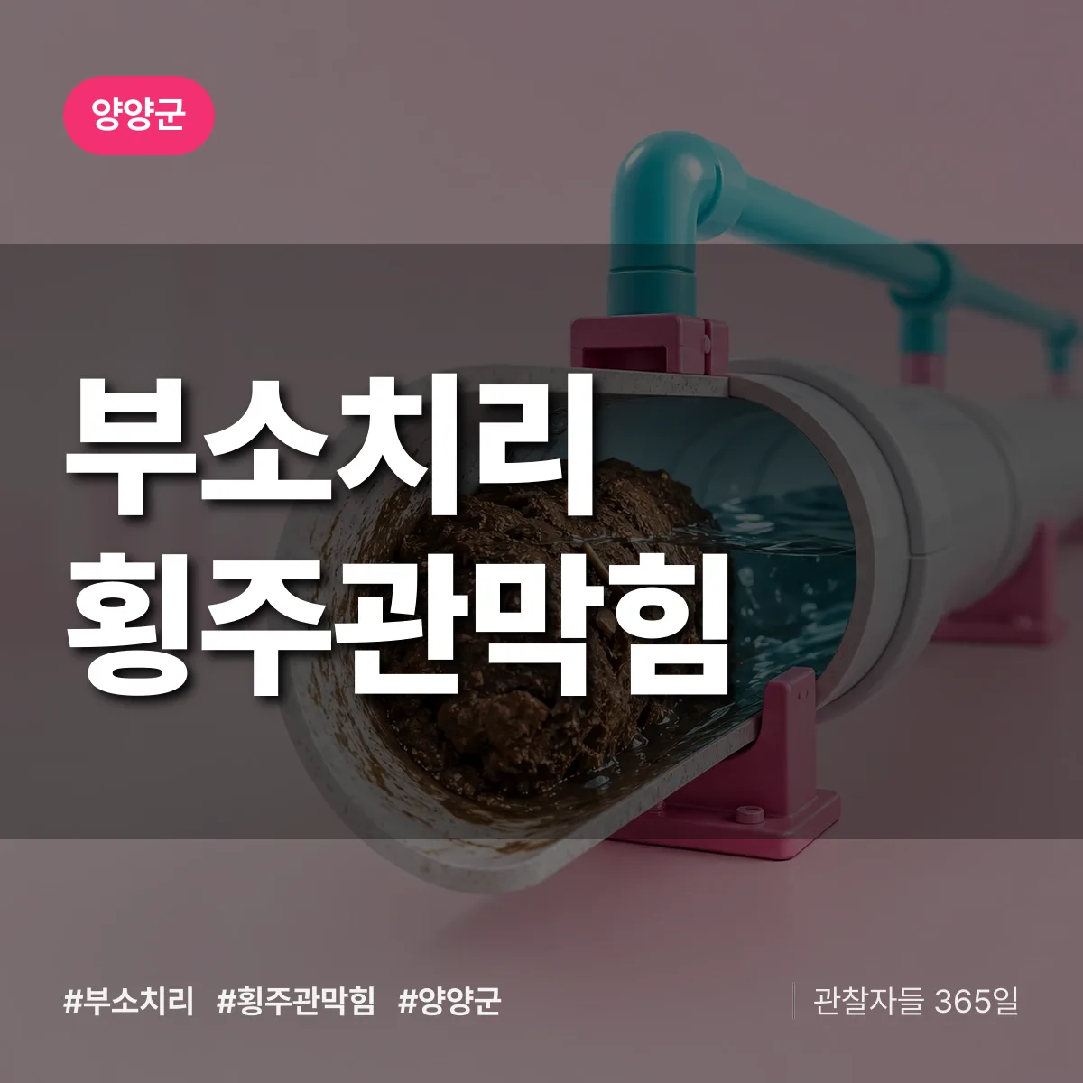 부소치리 횡주관막힘 배너