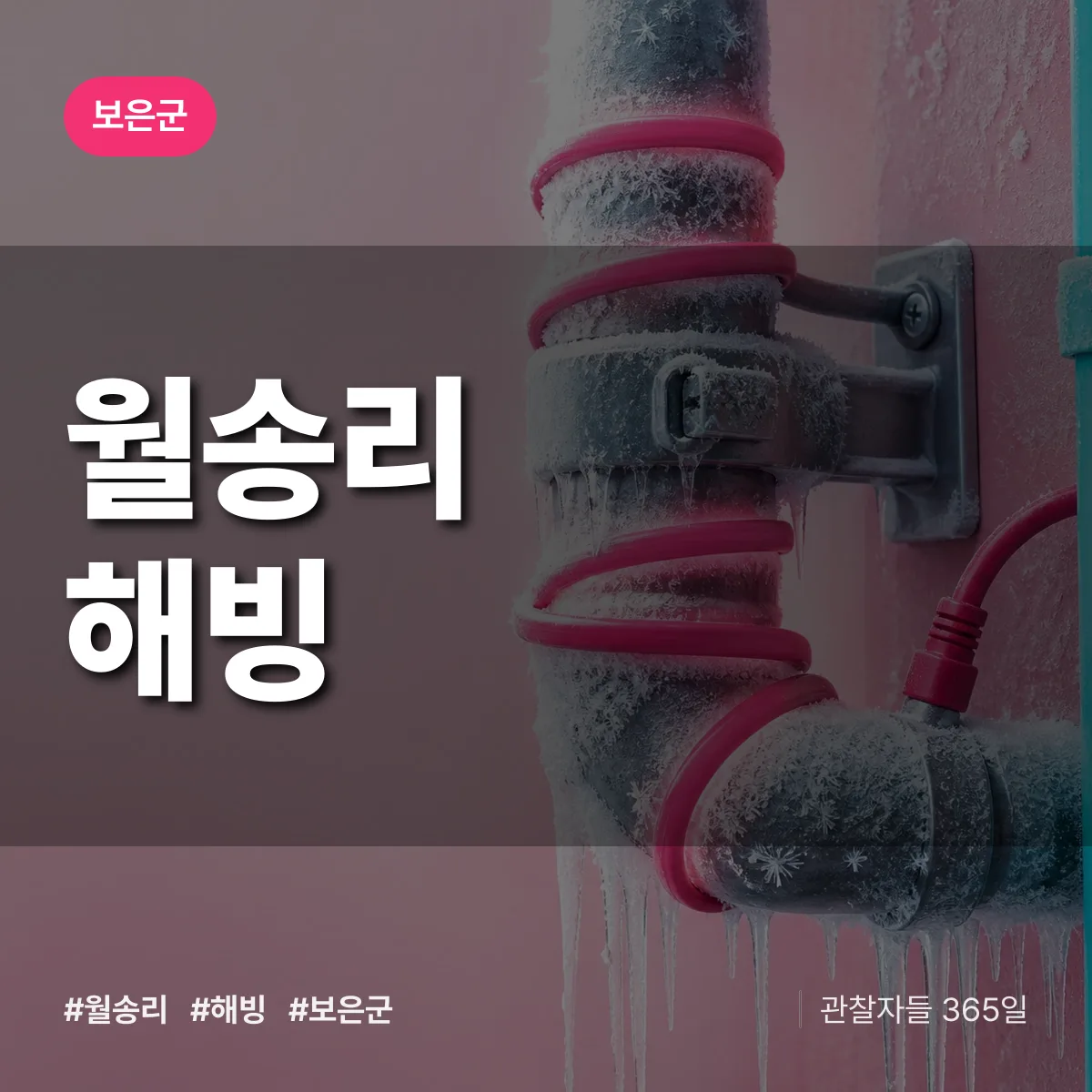 월송리 해빙 배너