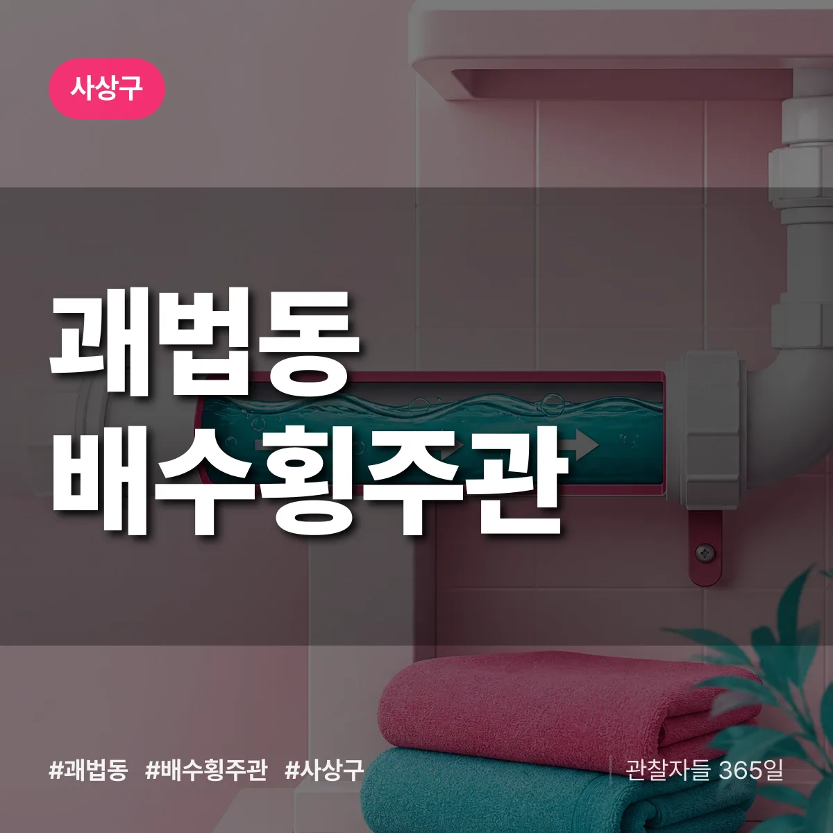 괘법동 배수횡주관 배너