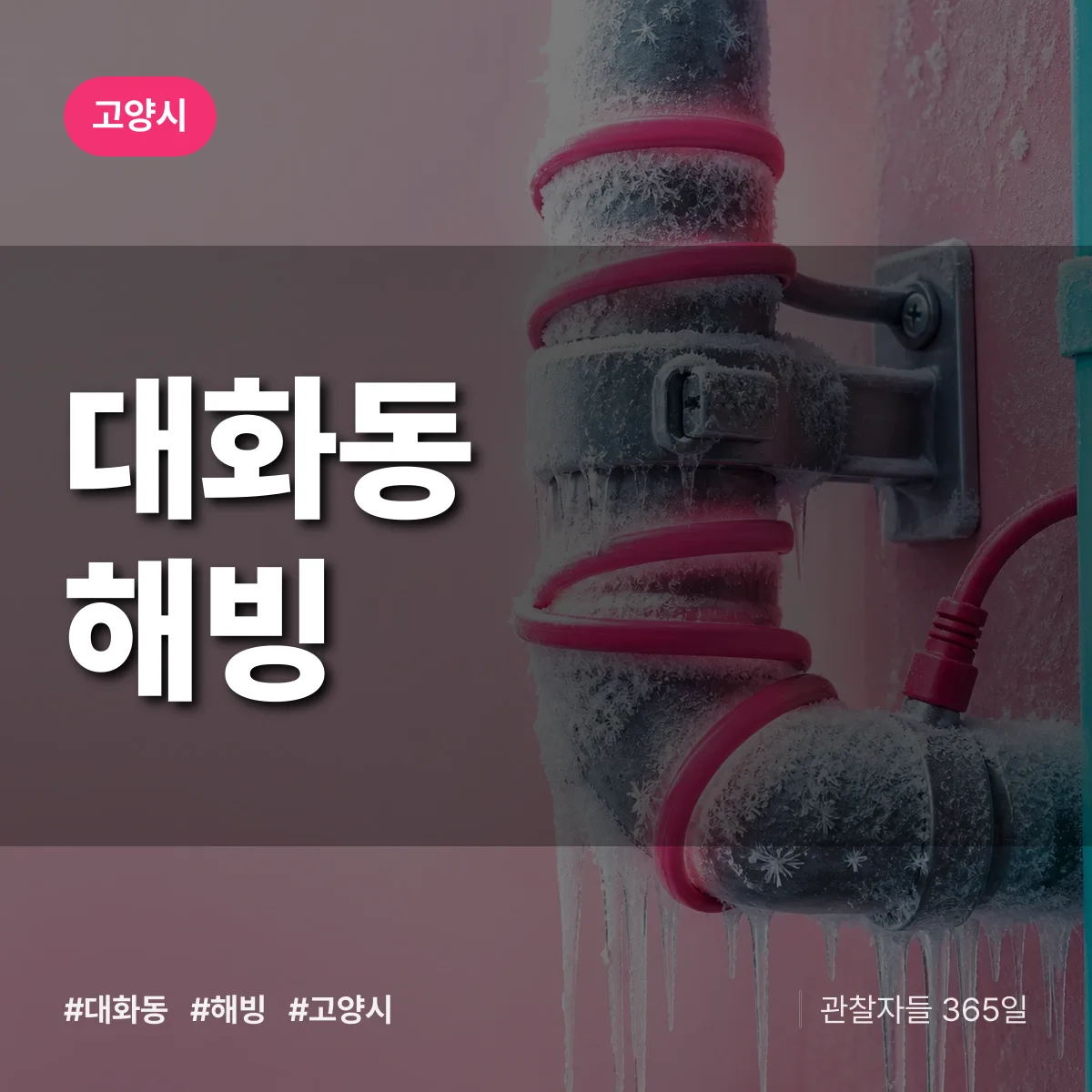 대화동 해빙 배너