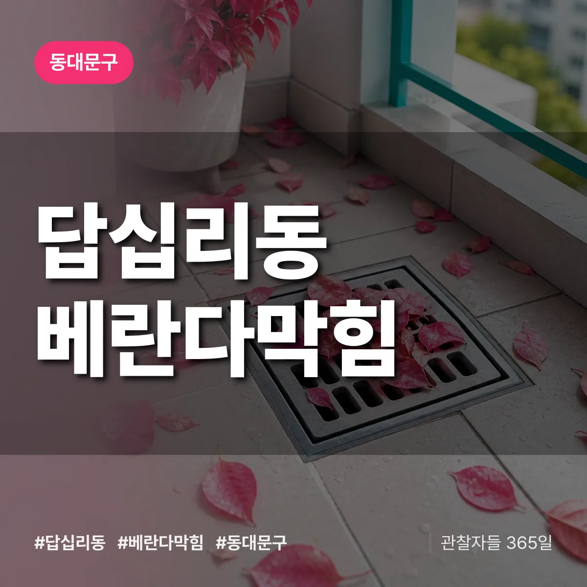 동대문구 답십리동 베란다막힘 상담 배너