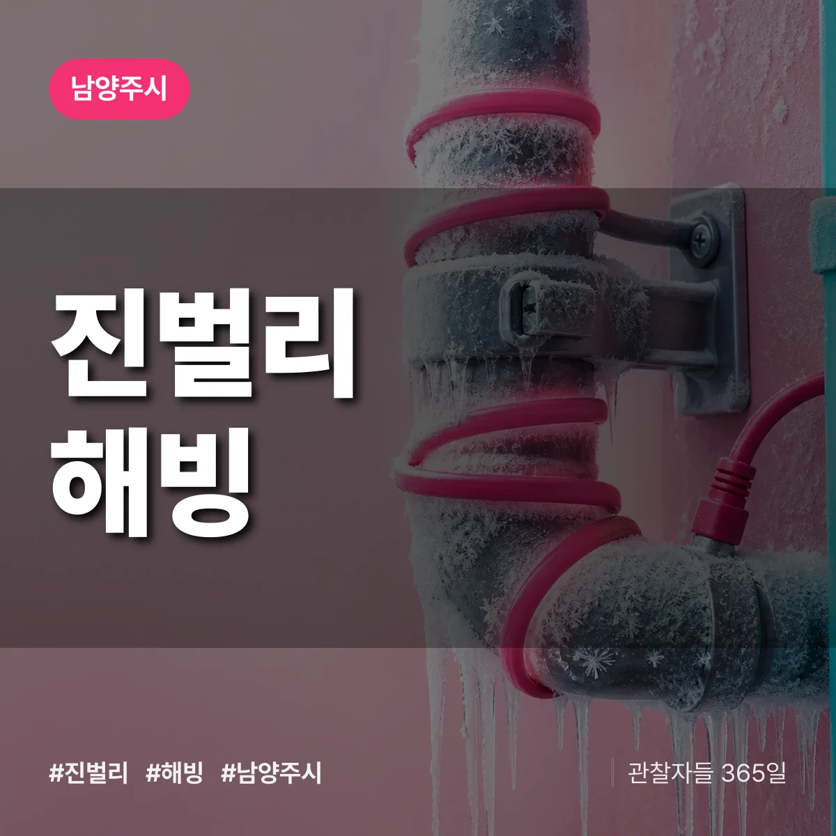 진벌리 해빙 배너