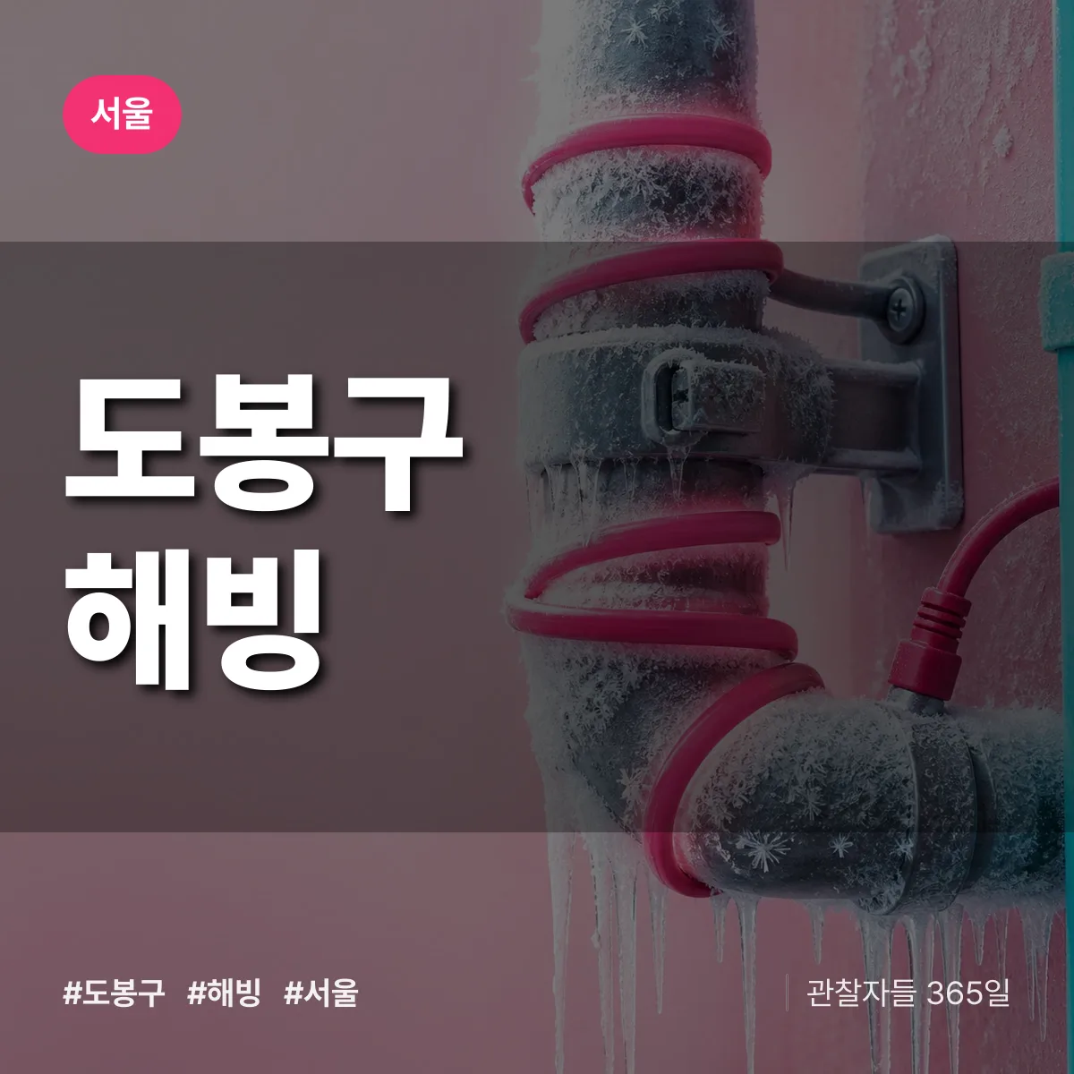 서울 도봉구 해빙 배너