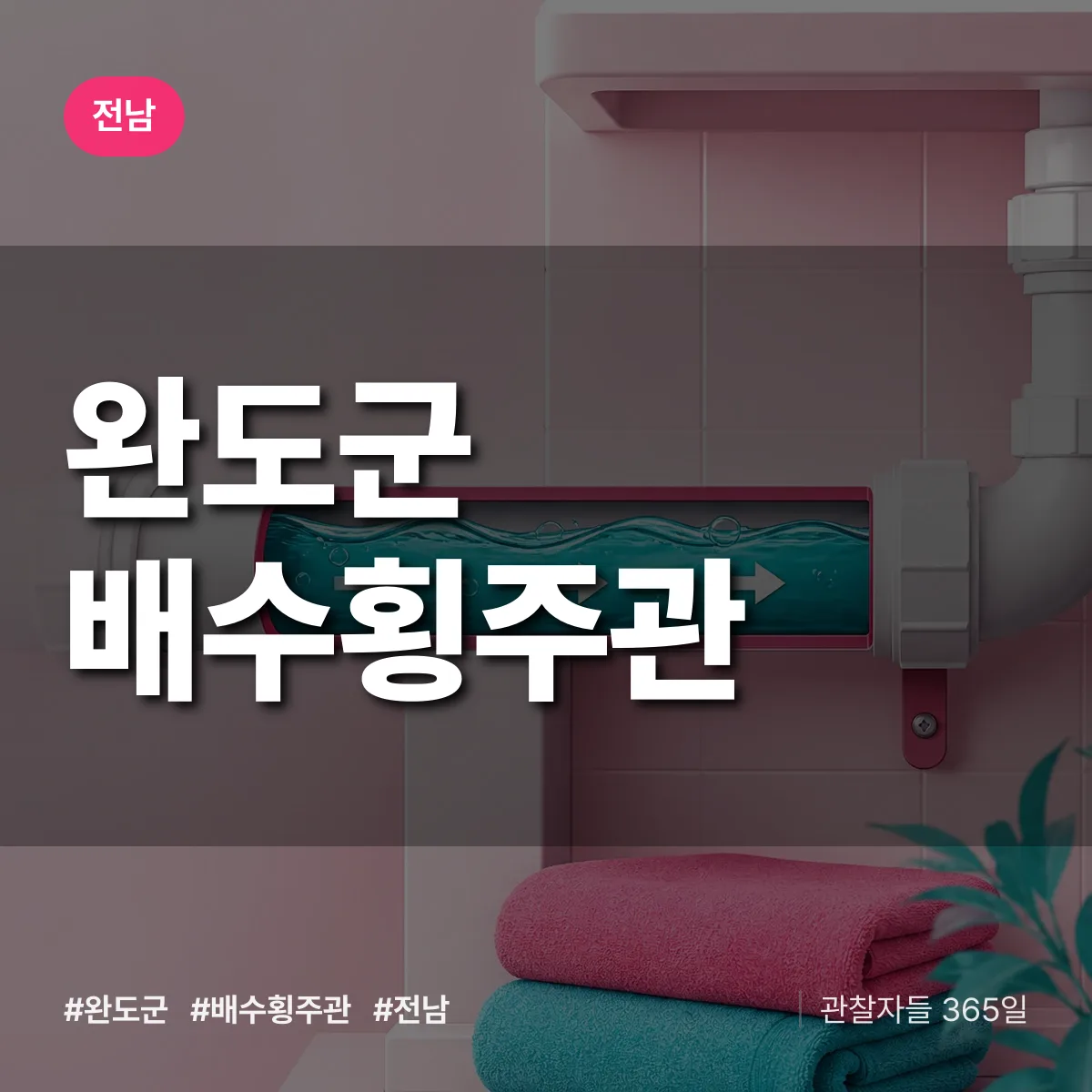 전남 완도군 배수횡주관 배너