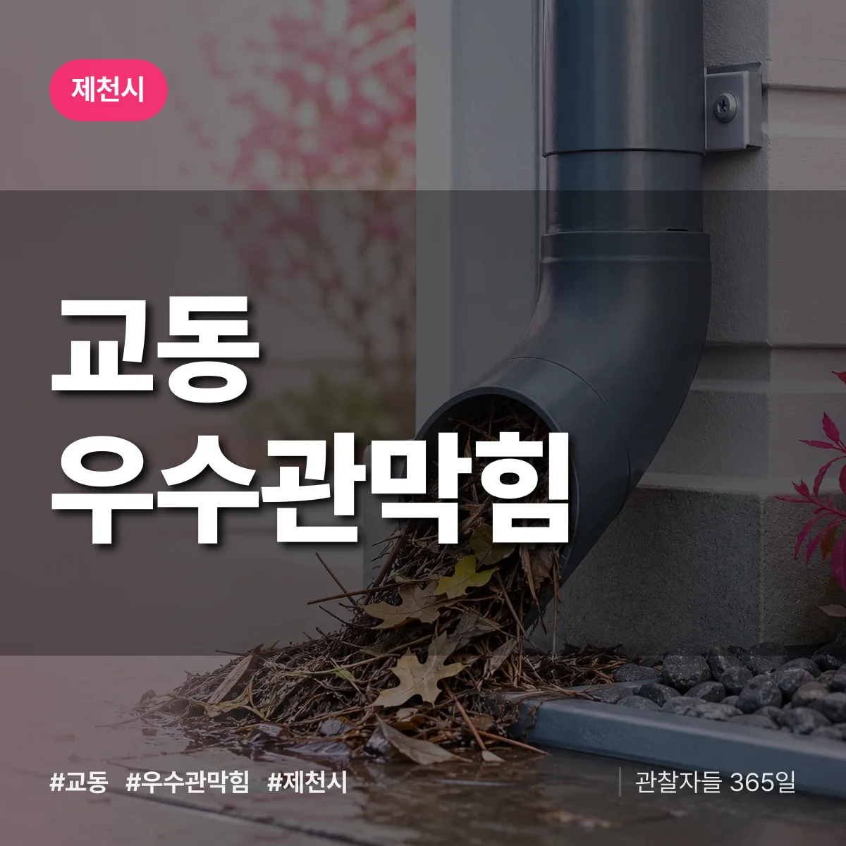 교동 우수관막힘 배너