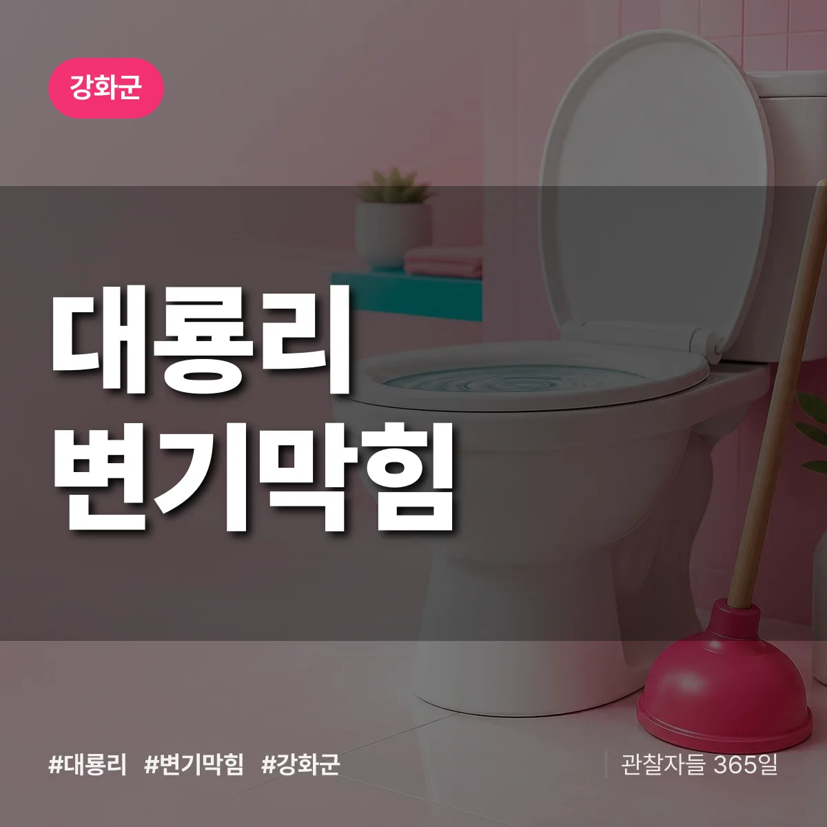 인천 강화군 대룡리 변기막힘 배너