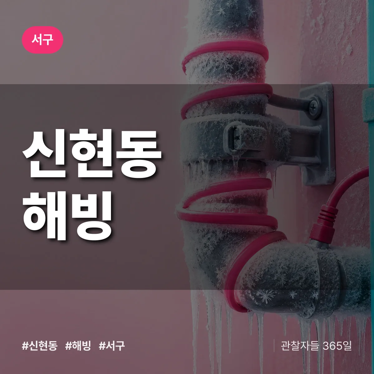 신현동 해빙 배너