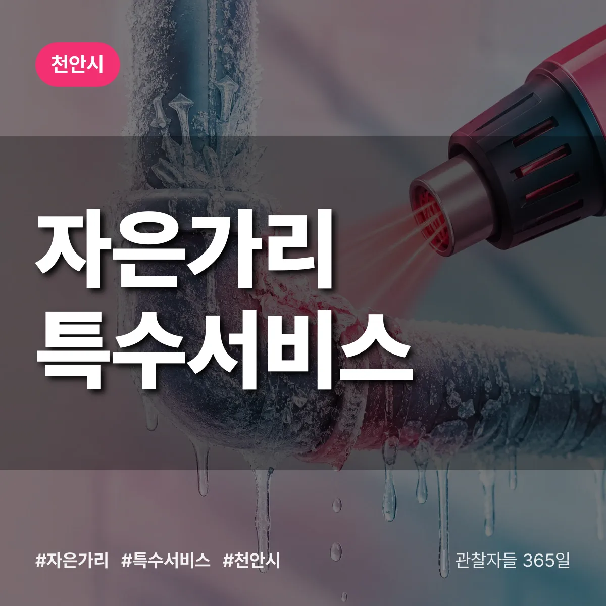 천안시 자은가리 특수서비스 상담 배너