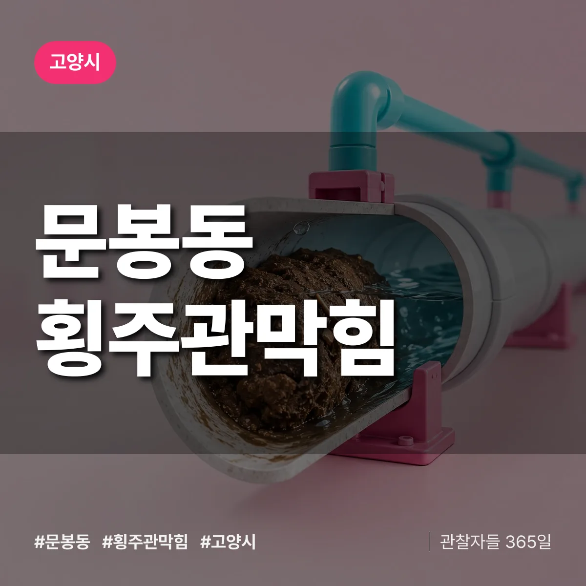 고양시 문봉동 횡주관막힘 상담 배너