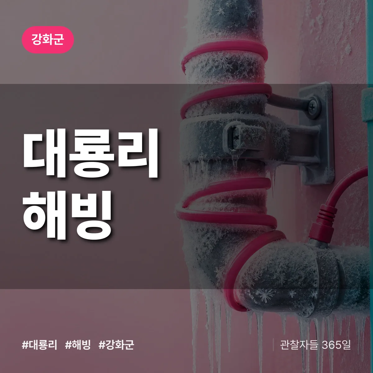 대룡리 해빙 배너
