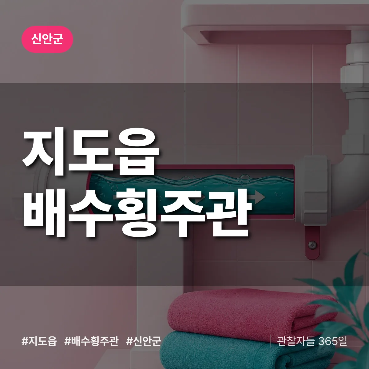 지도읍 배수횡주관 배너