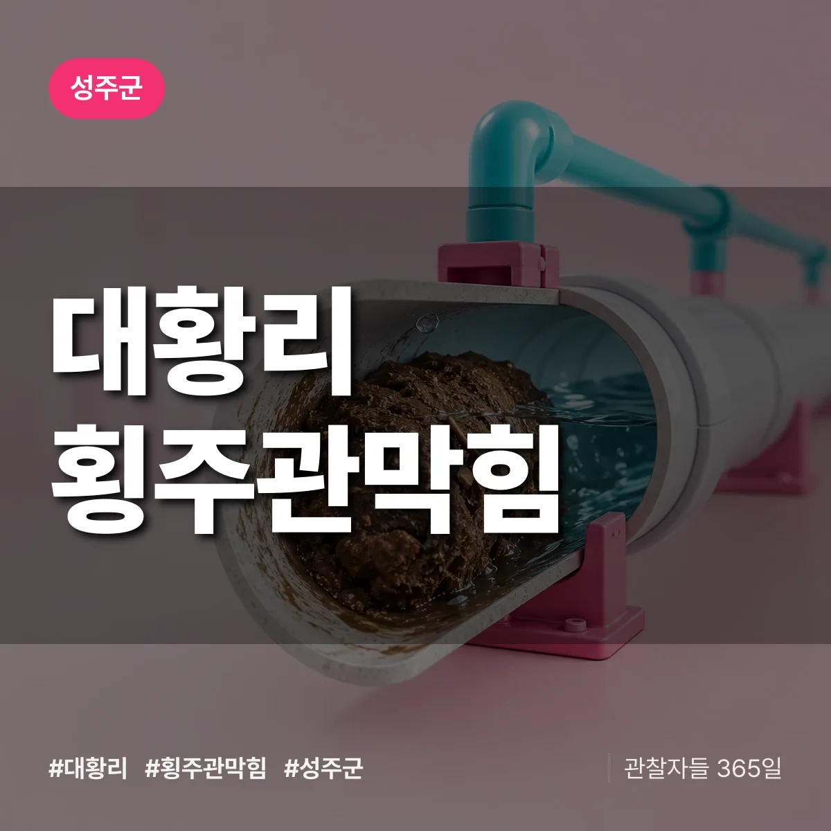 대황리 횡주관막힘 배너
