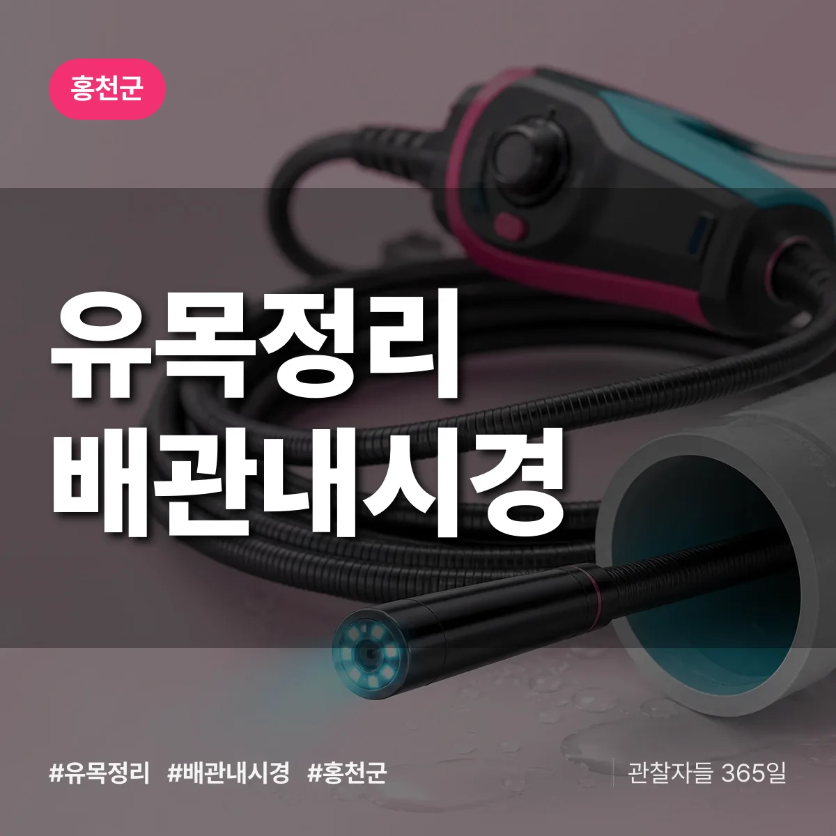 유목정리 배관내시경 배너