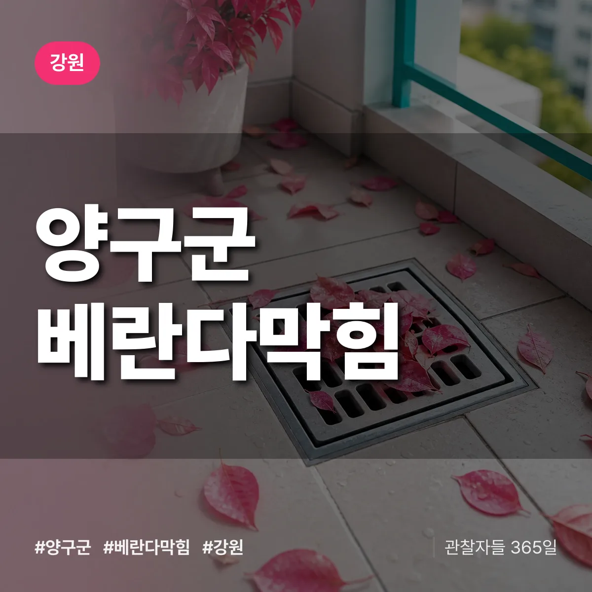 강원 양구군 베란다막힘 배너