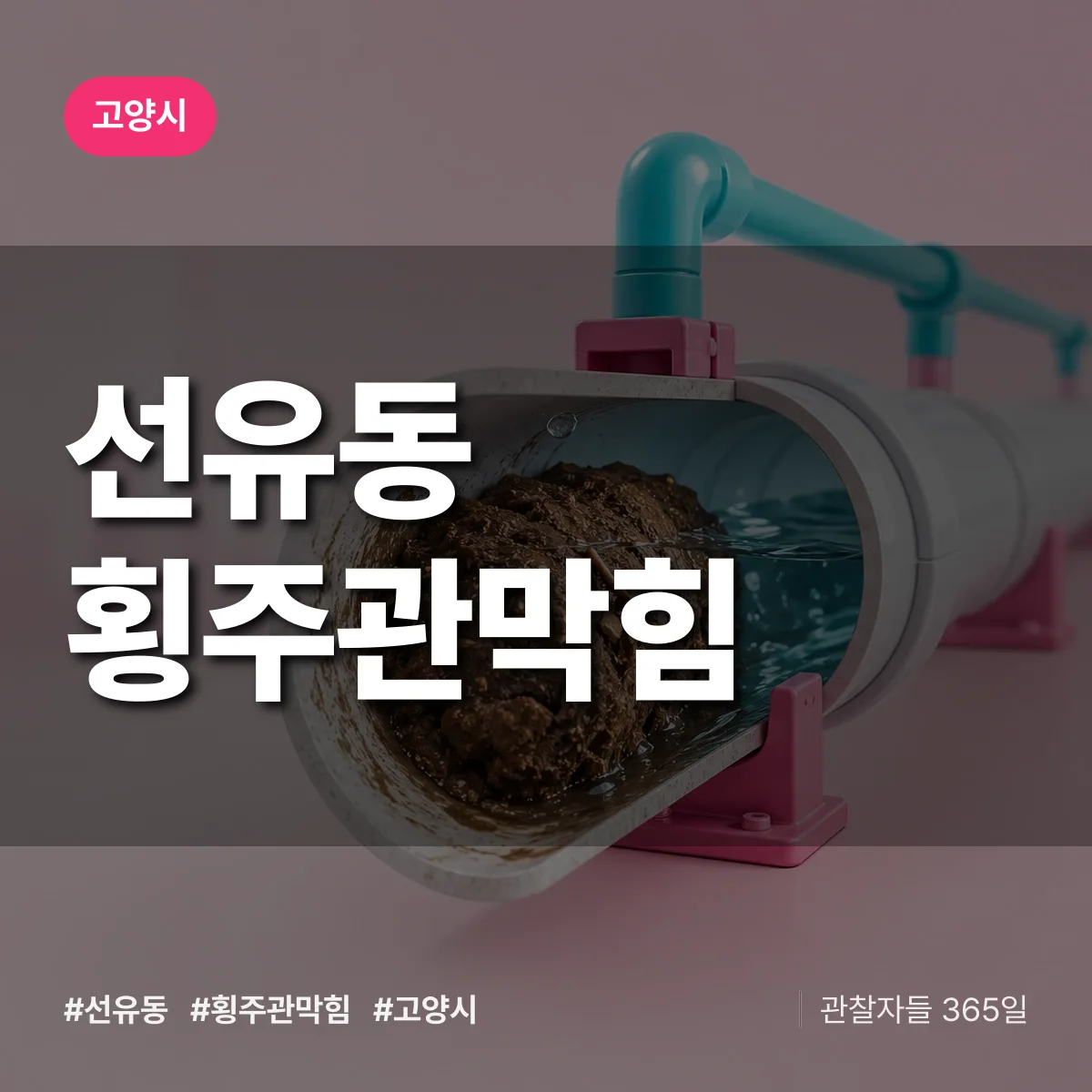 고양시 선유동 횡주관막힘 상담 배너