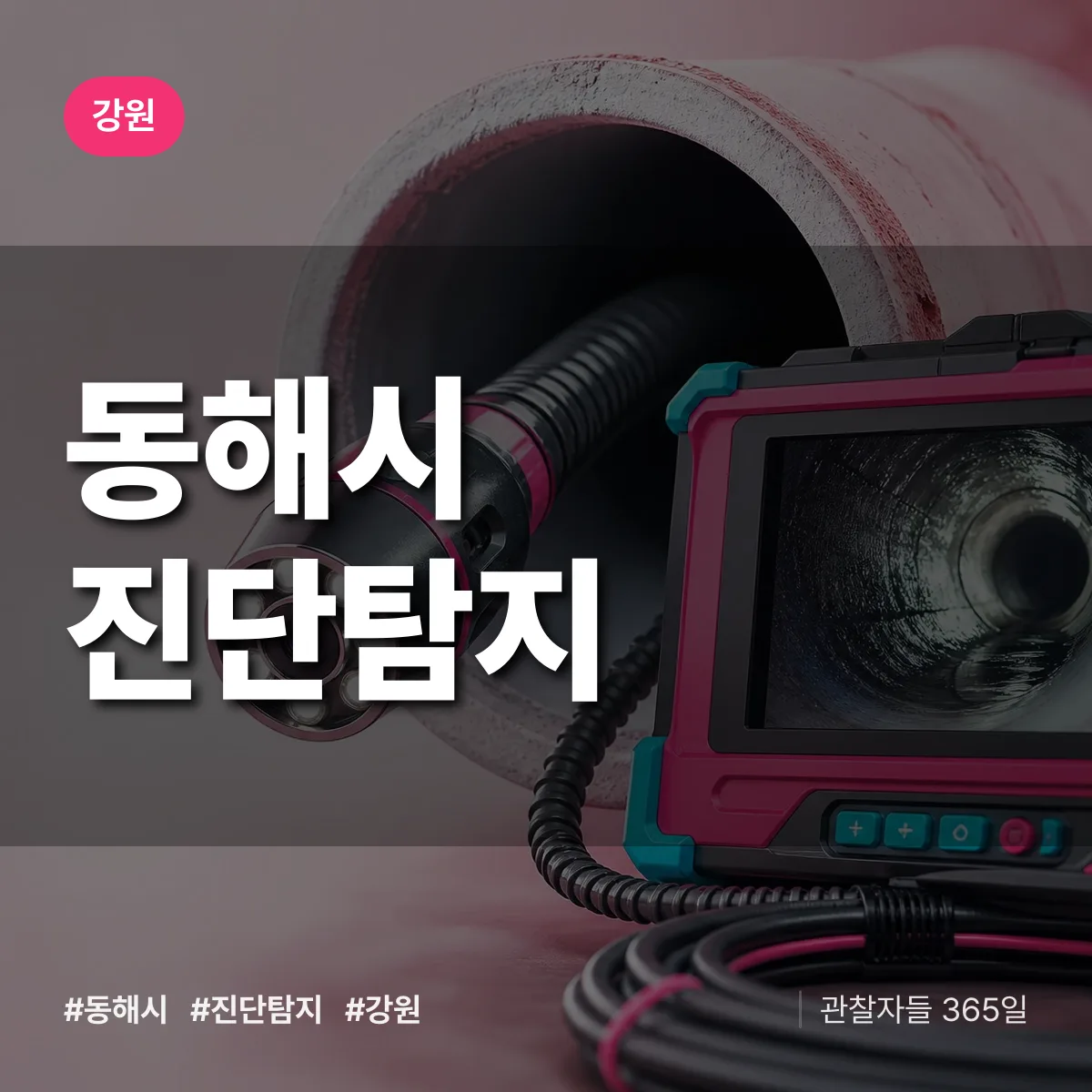 강원 동해시 진단/탐지 상담 배너