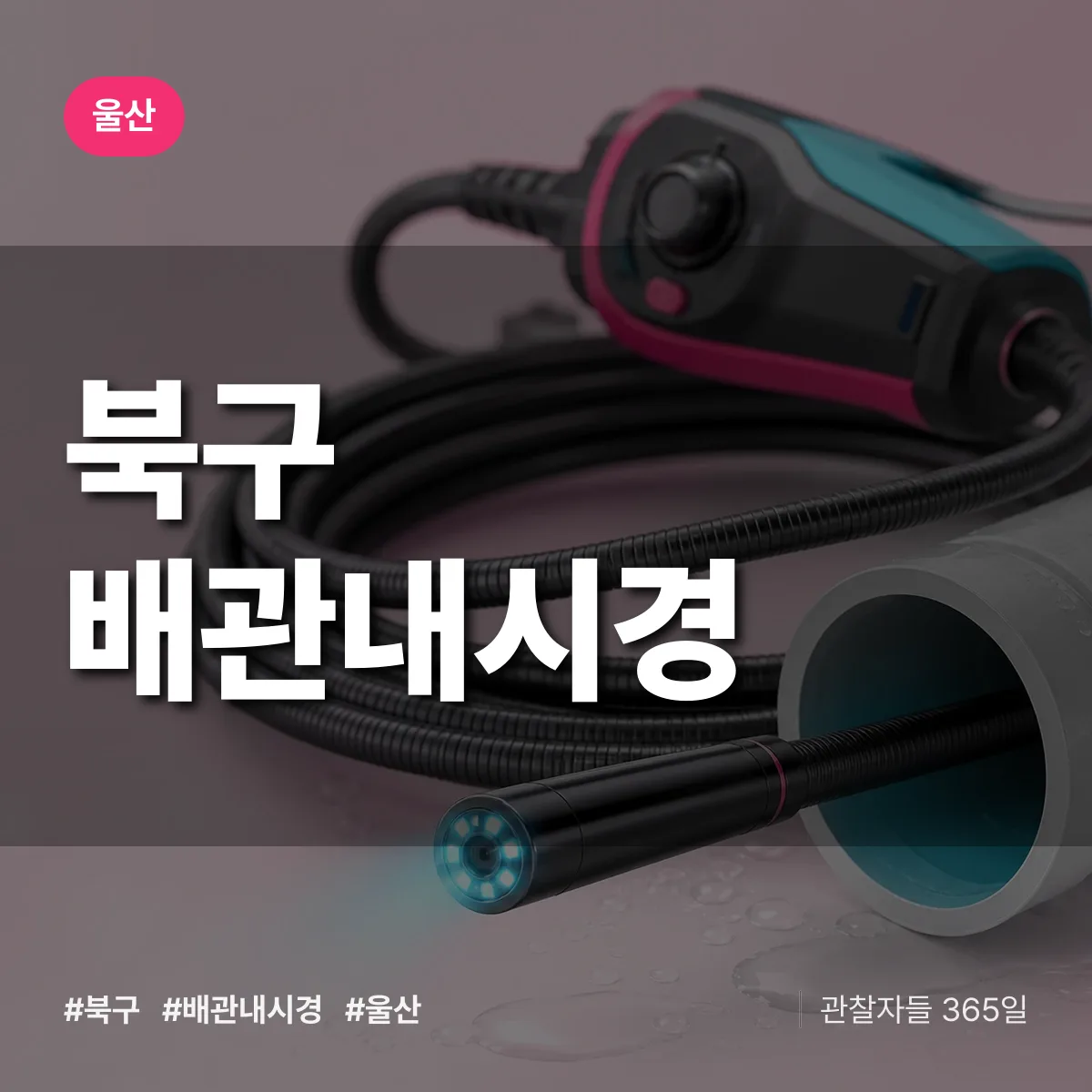 울산 북구 배관내시경 상담 배너