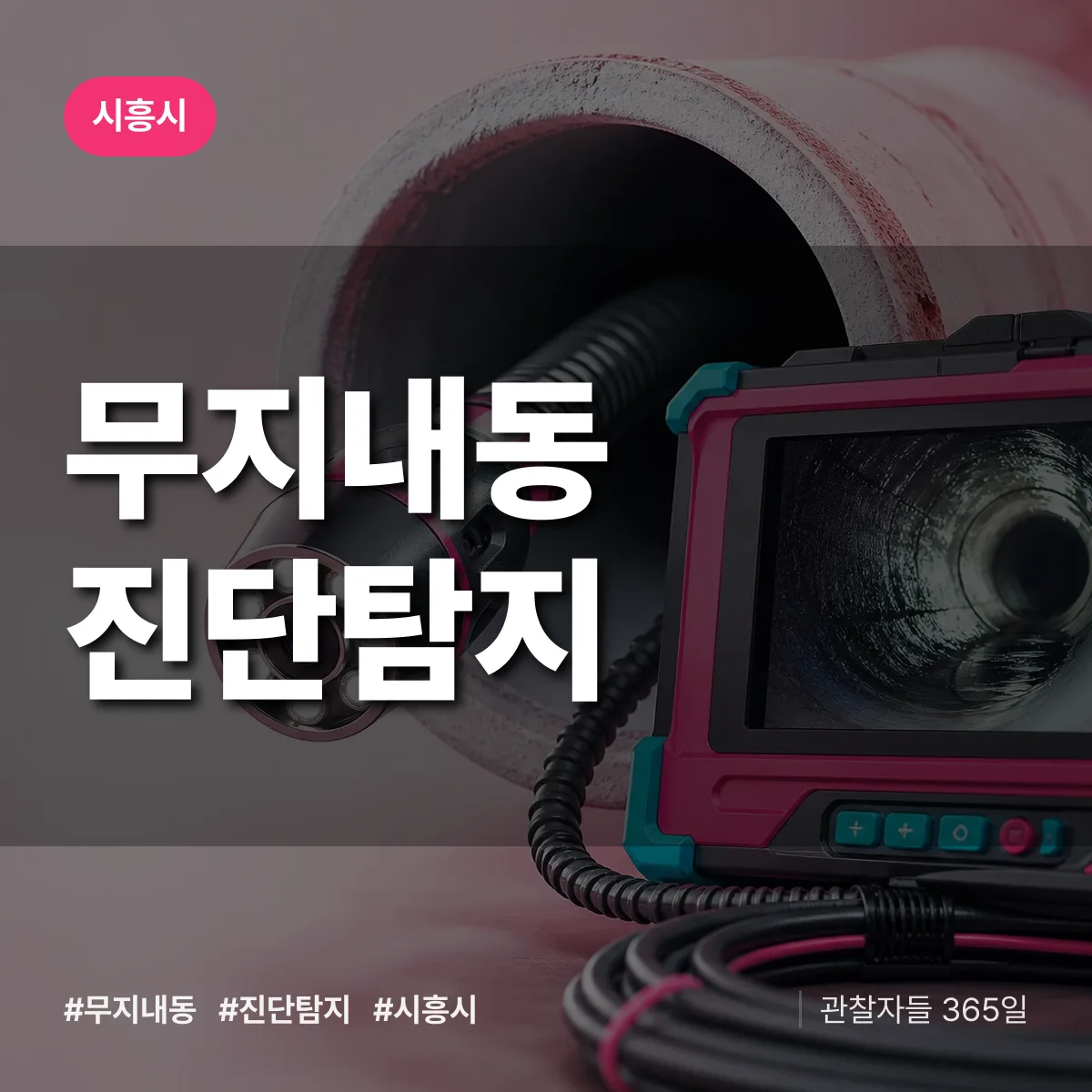 시흥시 무지내동 진단/탐지 상담 배너