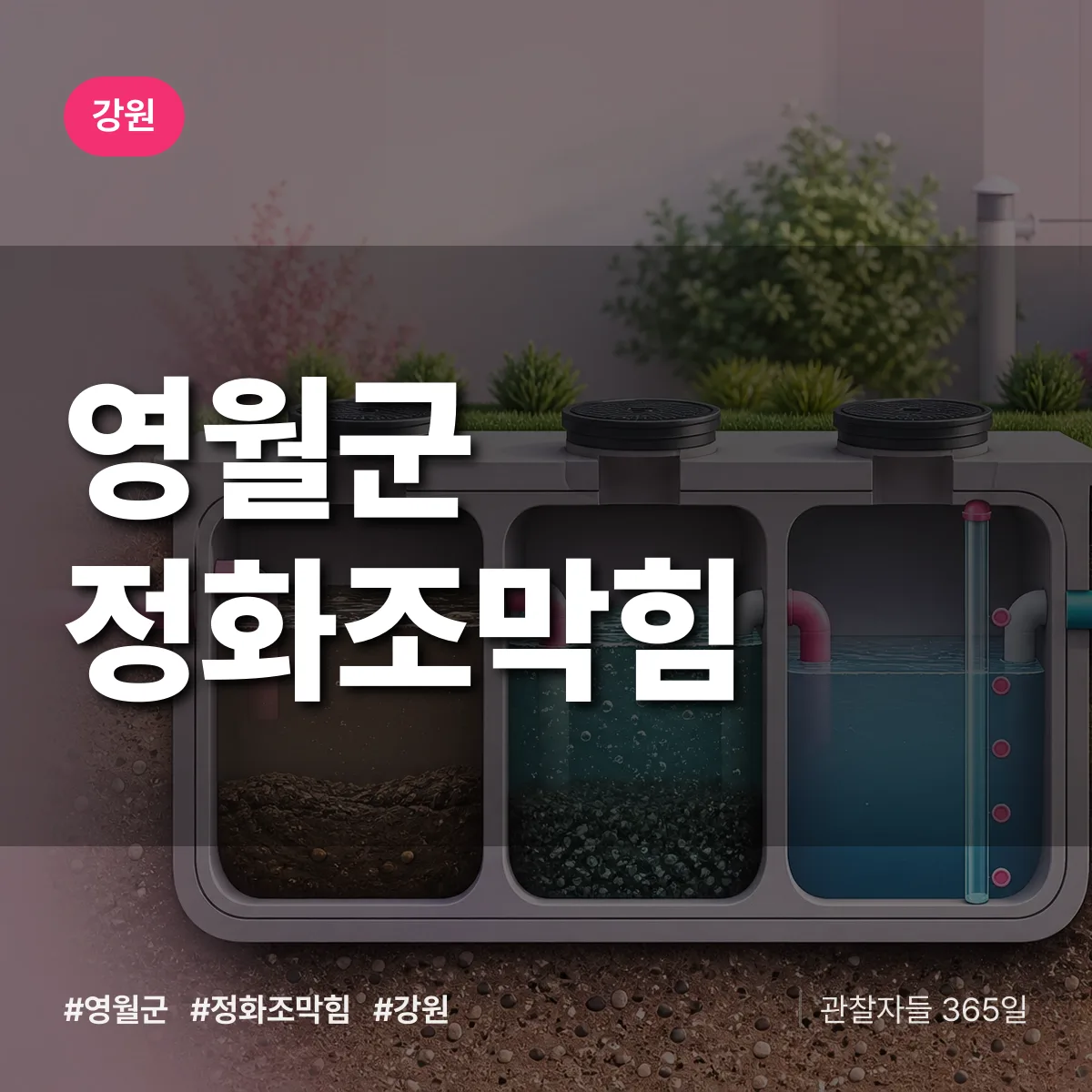 강원 영월군 정화조막힘 배너