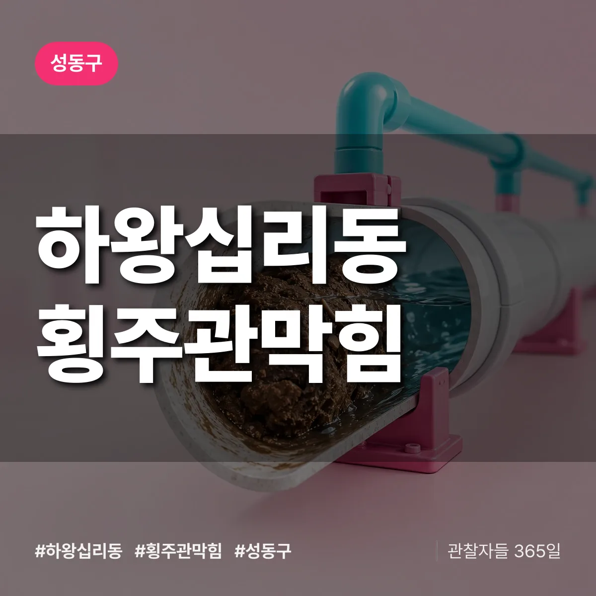 성동구 하왕십리동 횡주관막힘 상담 배너