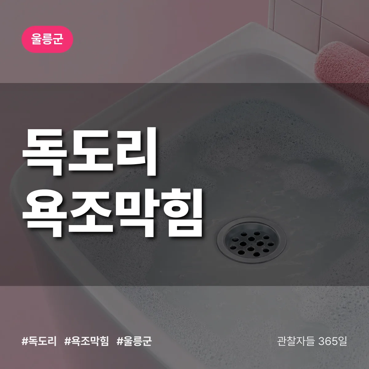 독도리 욕조막힘 배너
