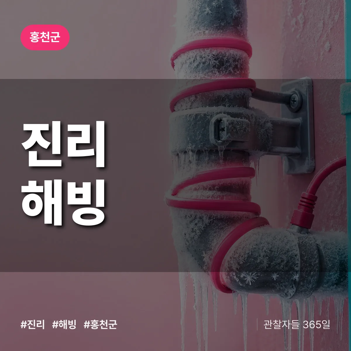 진리 해빙 배너
