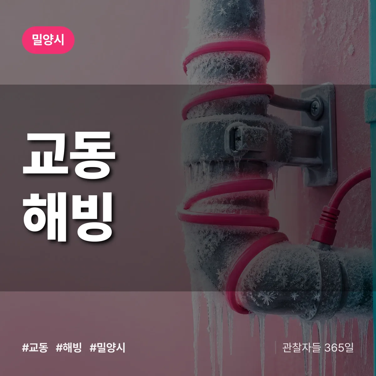교동 해빙 배너