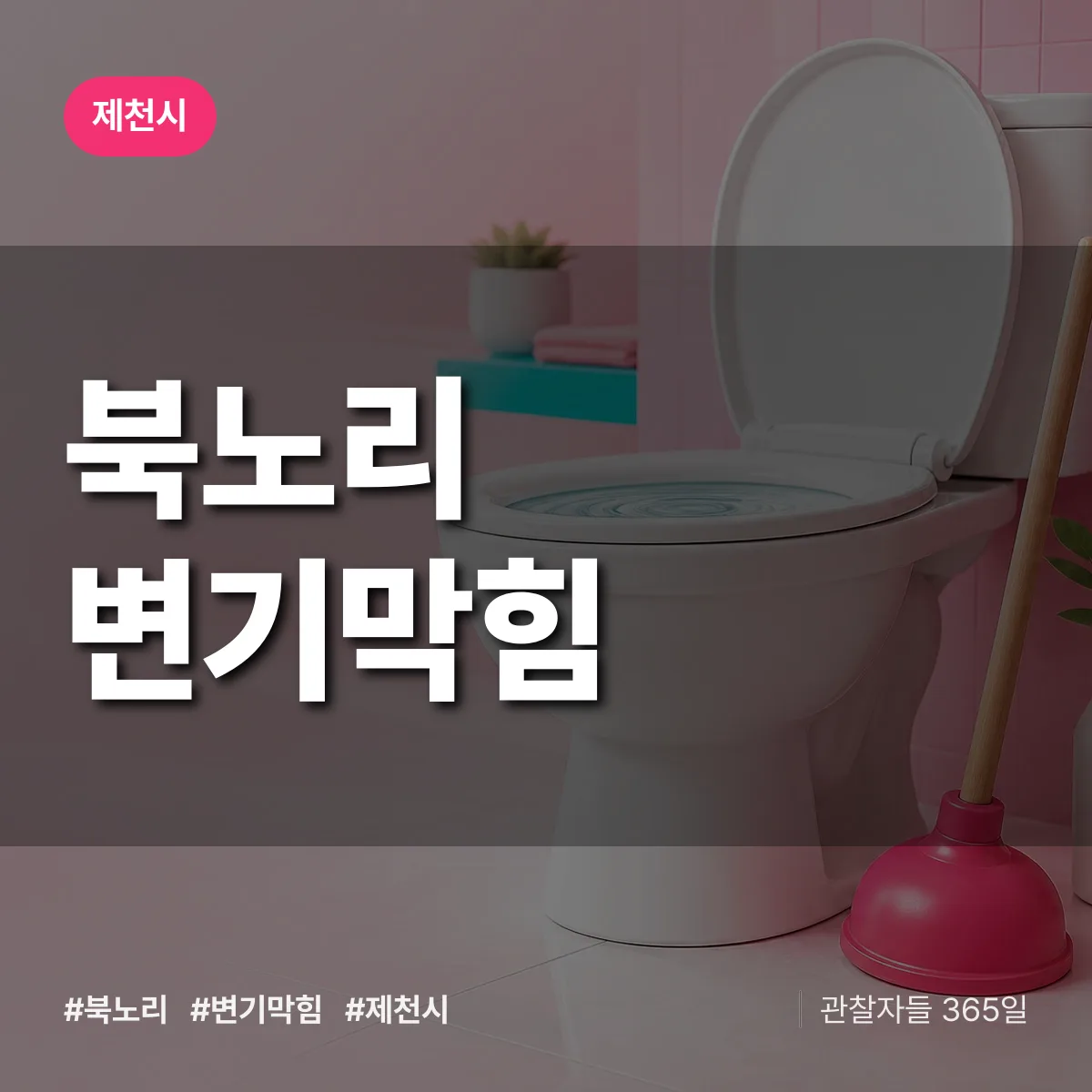 북노리 변기막힘 배너