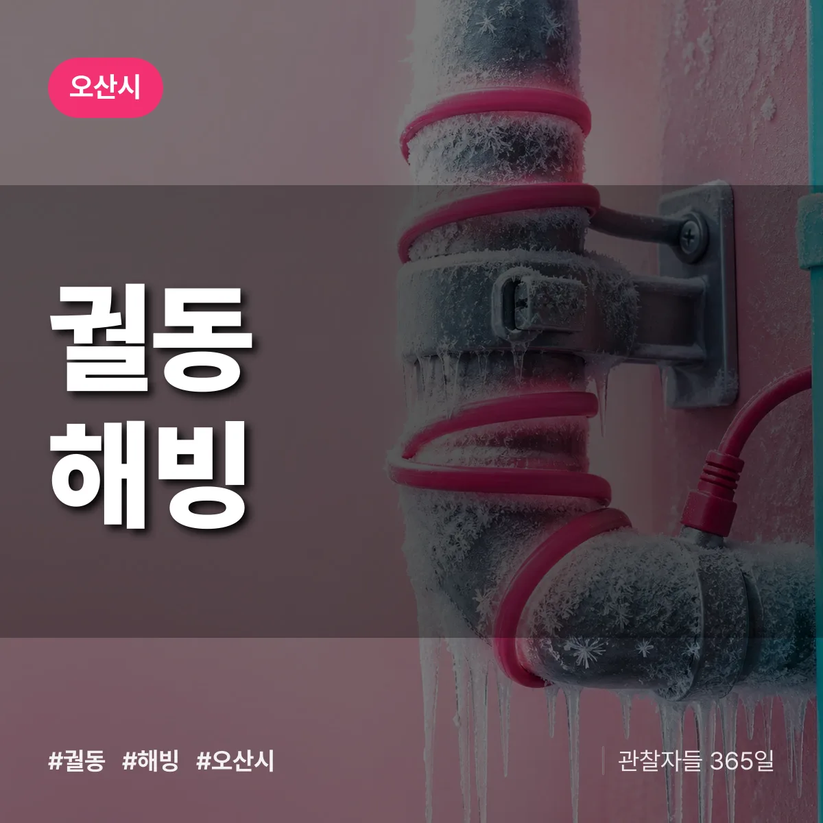 궐동 해빙 배너