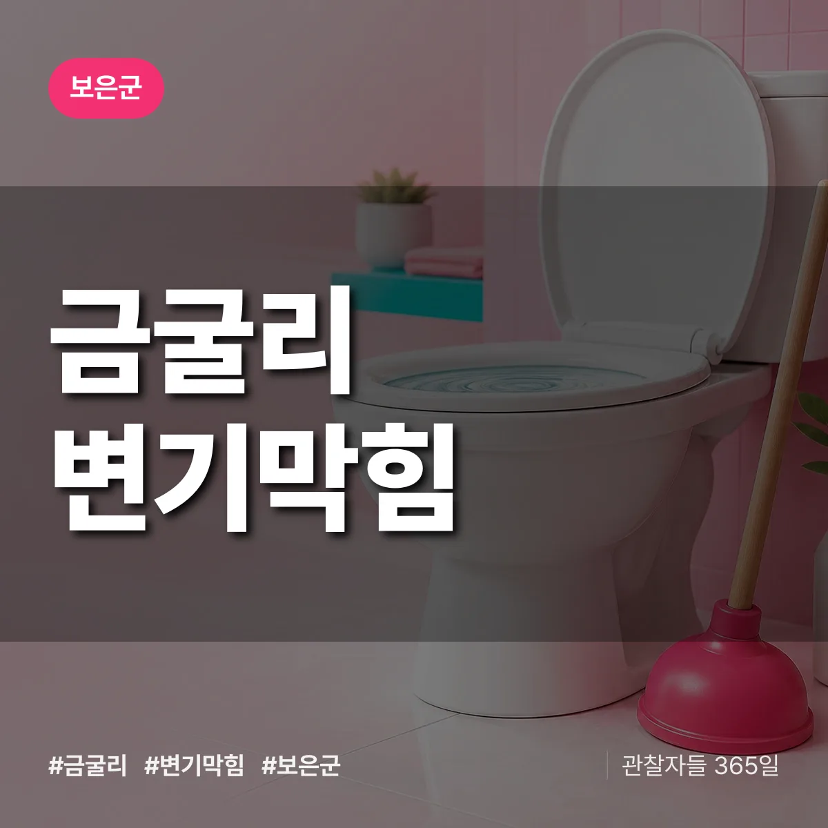 금굴리 변기막힘 배너