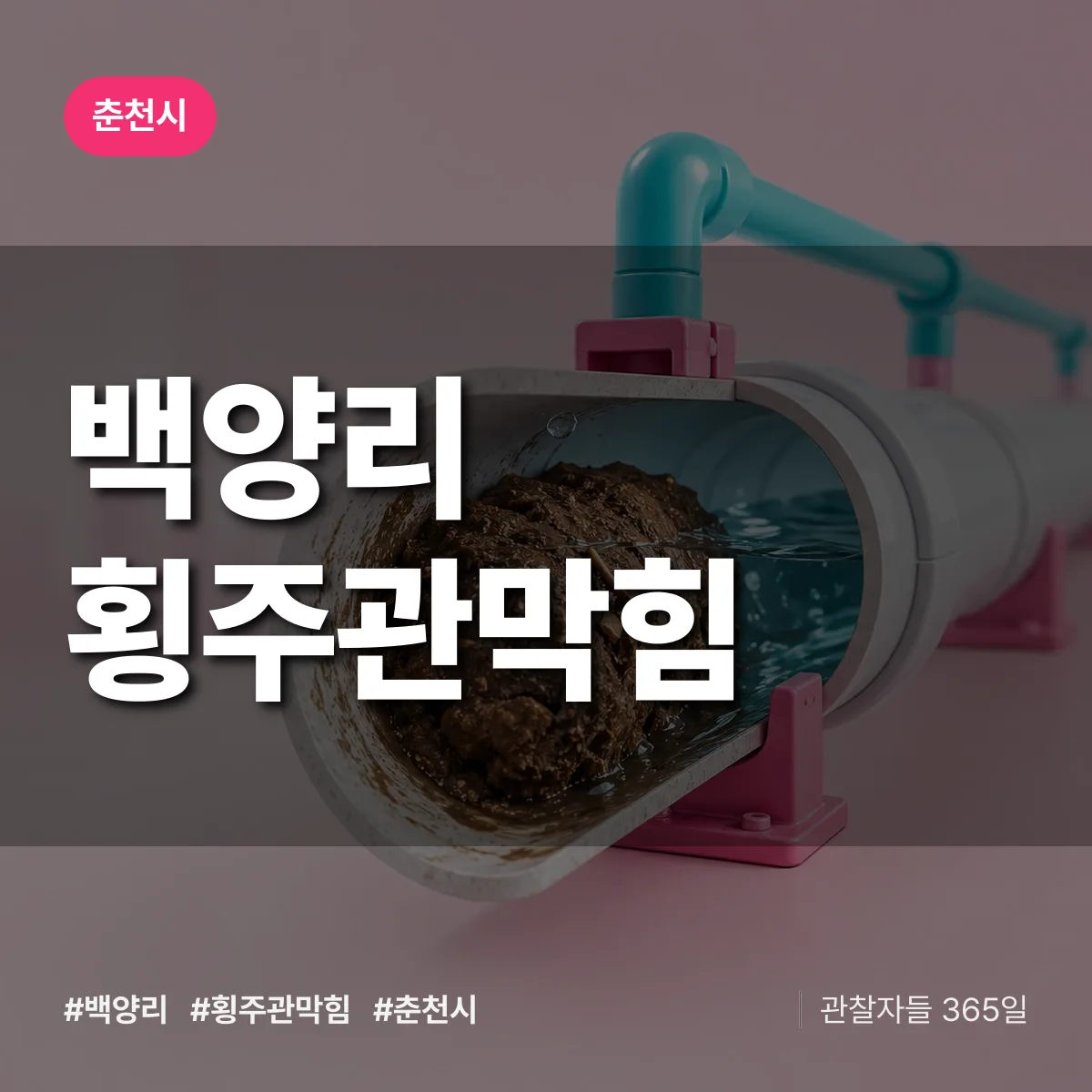 백양리 횡주관막힘 배너
