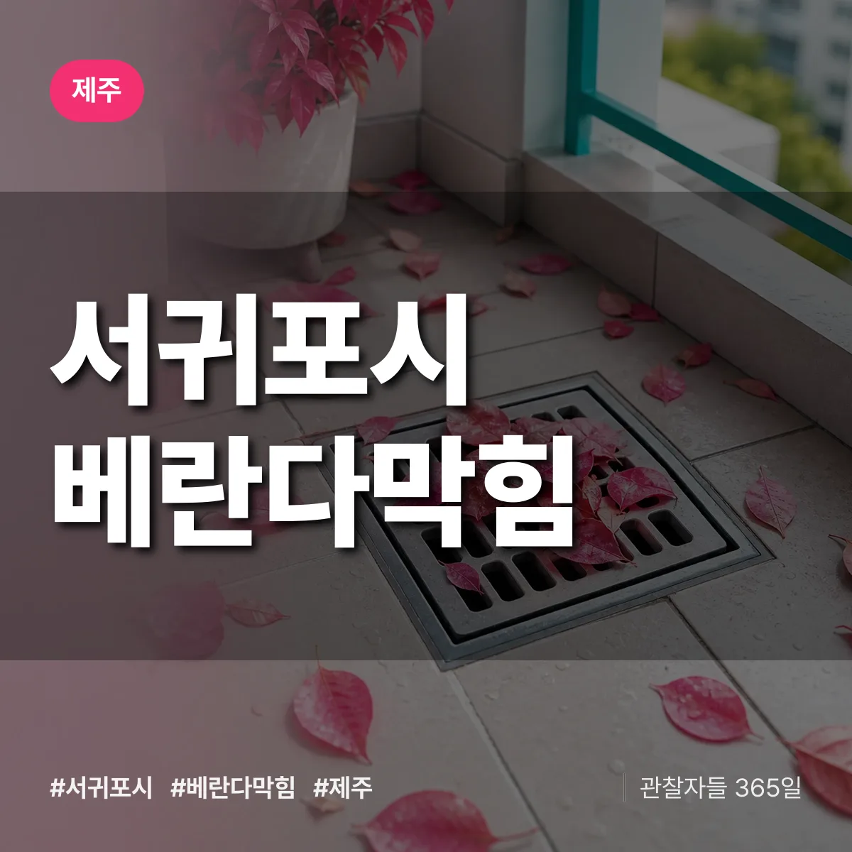제주 서귀포시 베란다막힘 상담 배너
