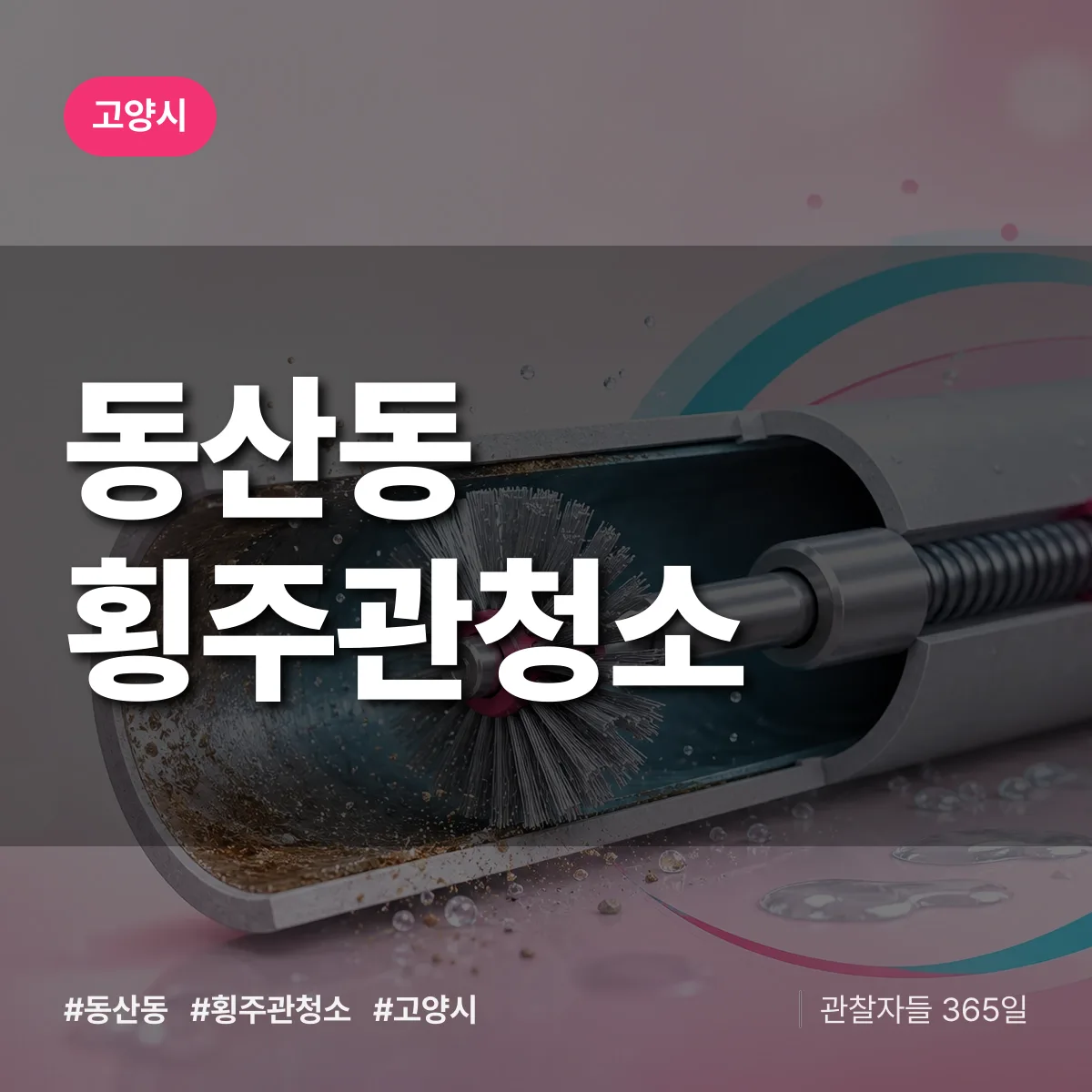 고양시 동산동 횡주관청소 상담 배너