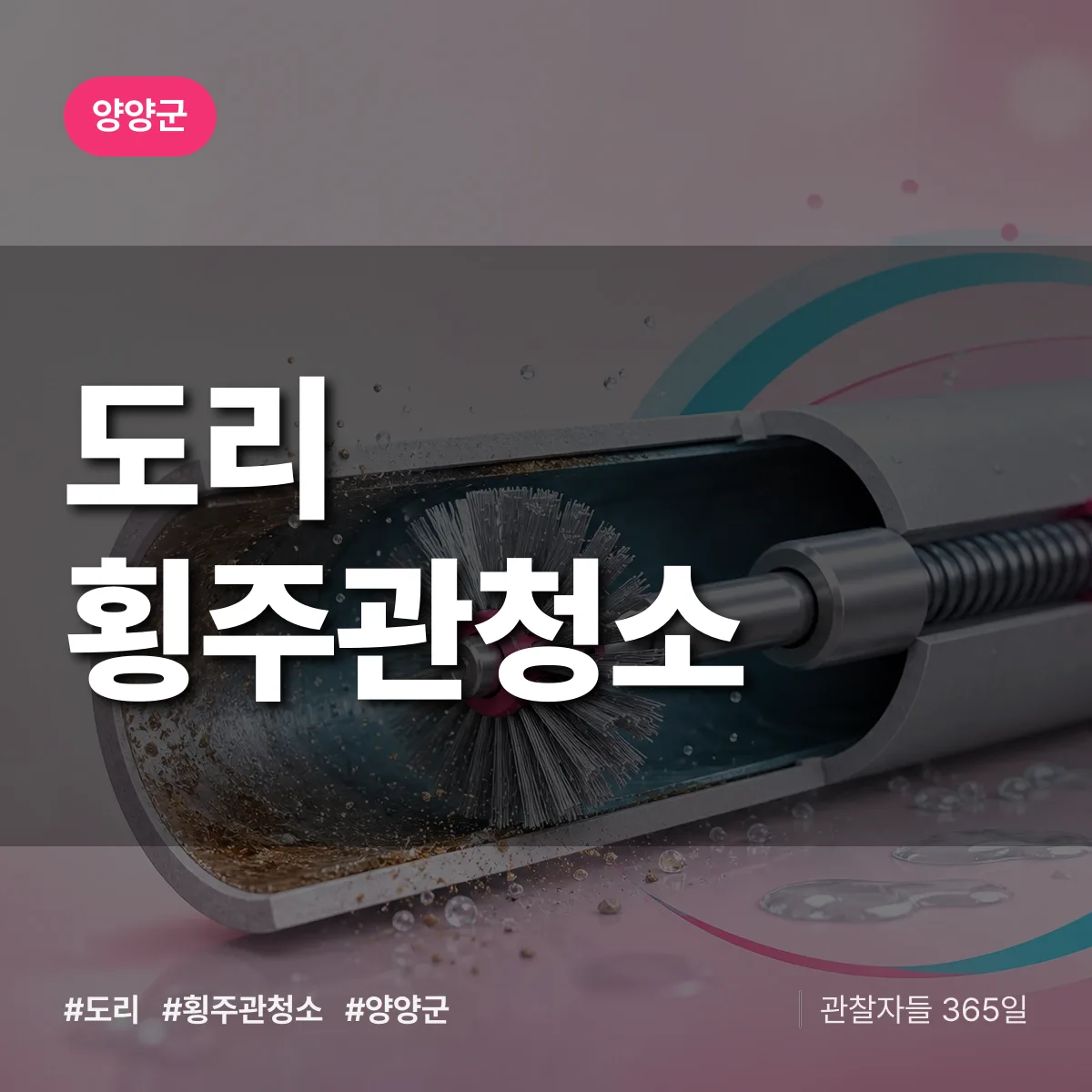 도리 횡주관청소 배너