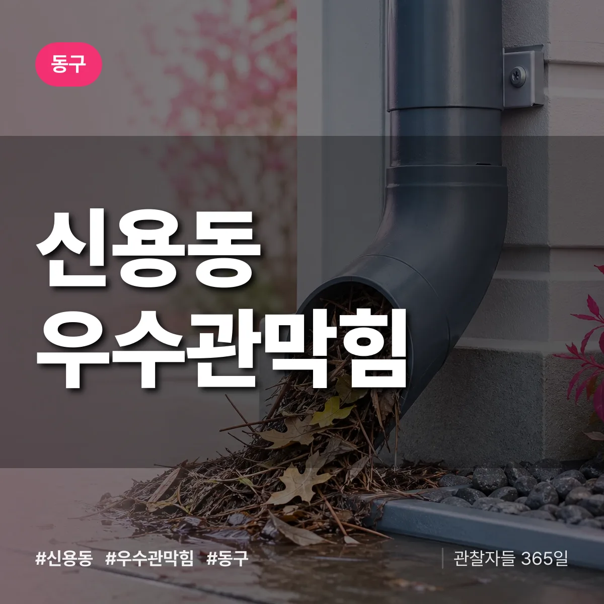 신용동 우수관막힘 배너