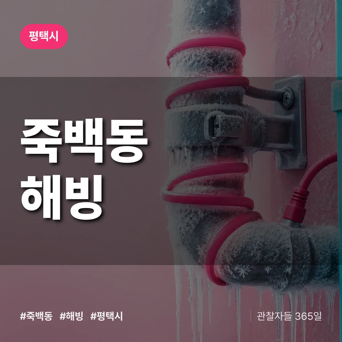죽백동 해빙 배너