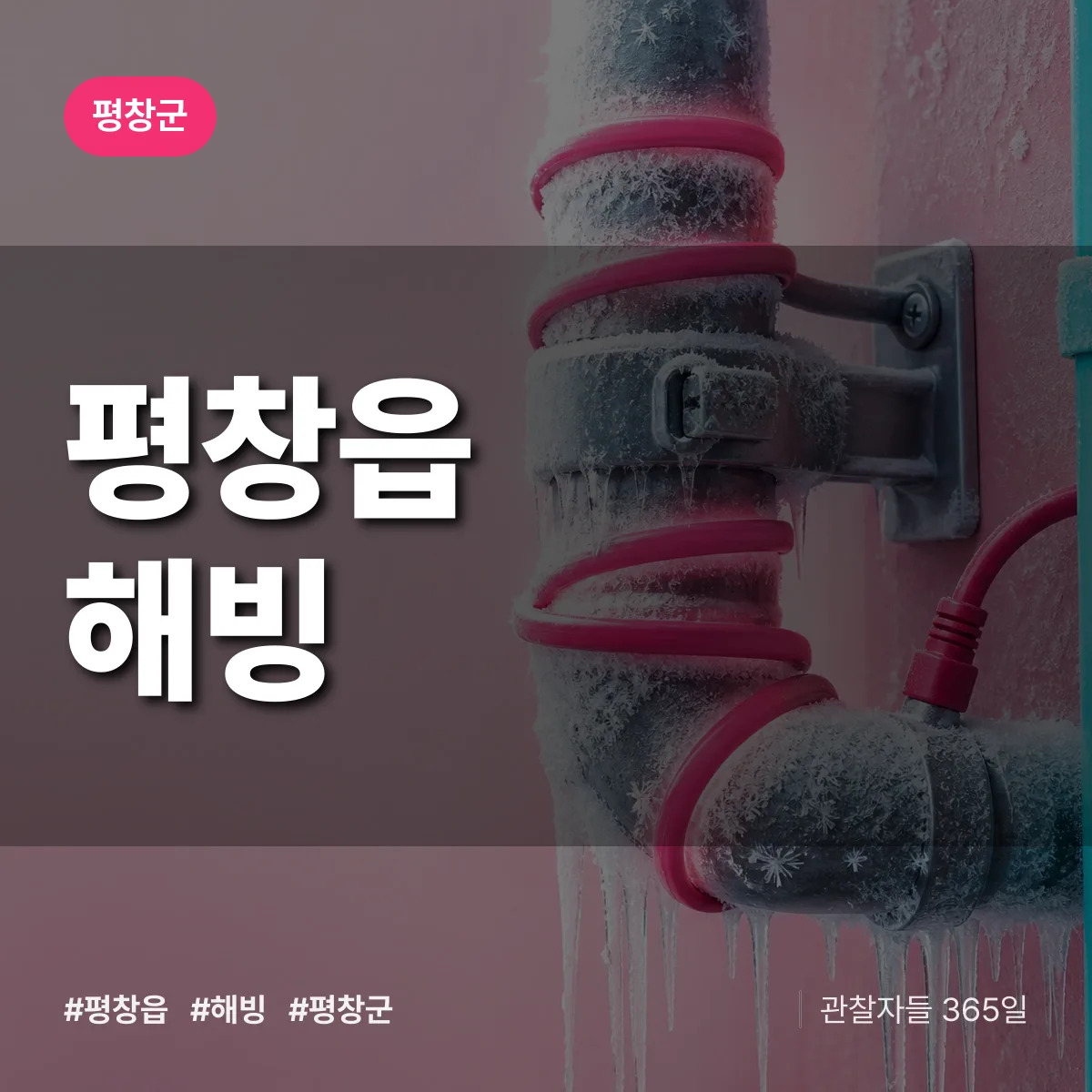 평창읍 해빙 배너
