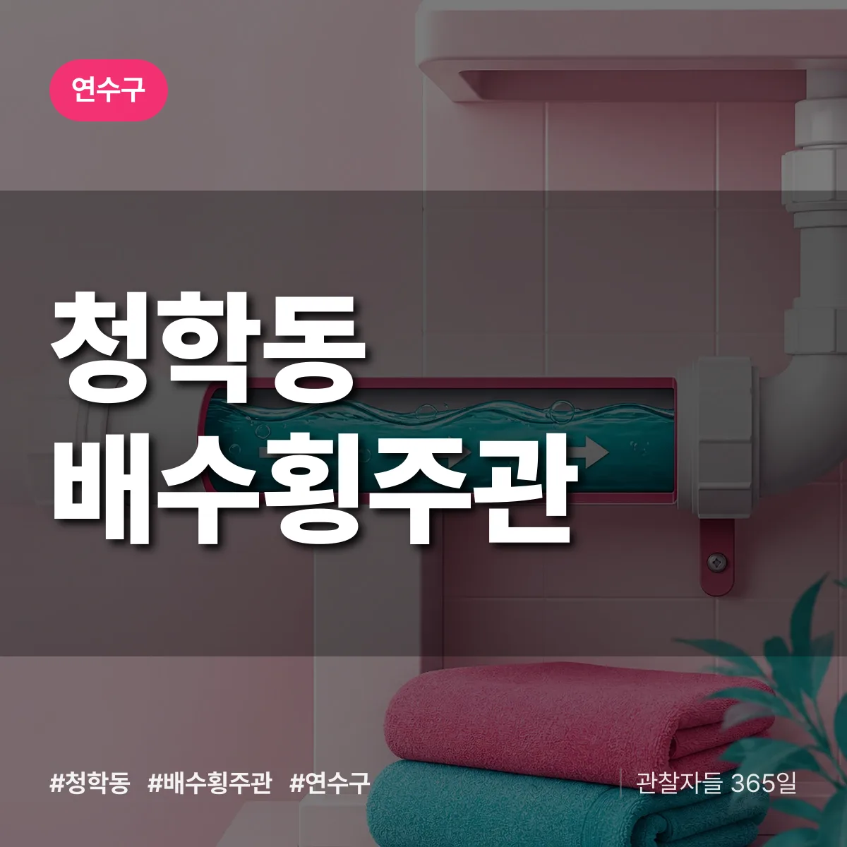 청학동 배수횡주관 배너
