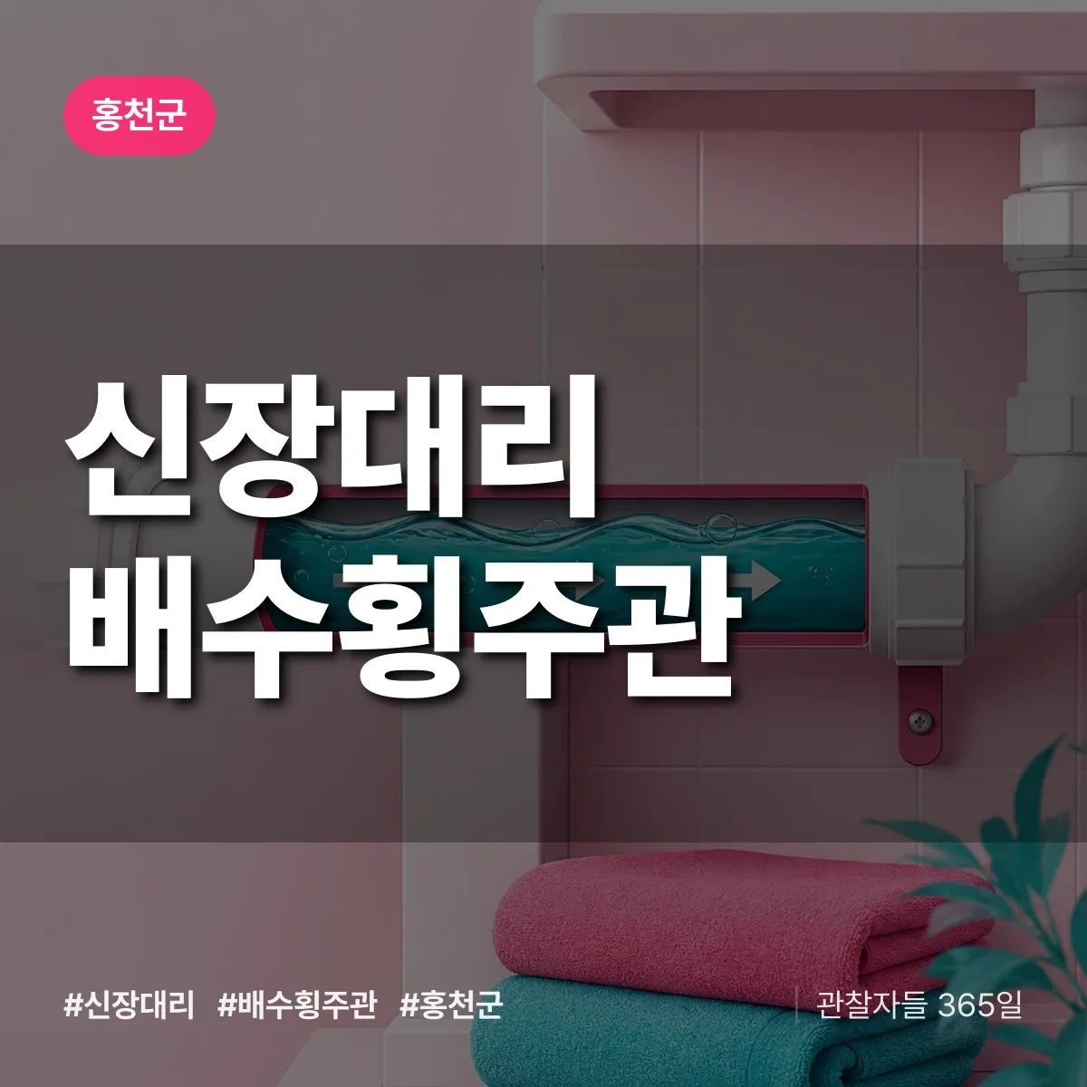 신장대리 배수횡주관 배너