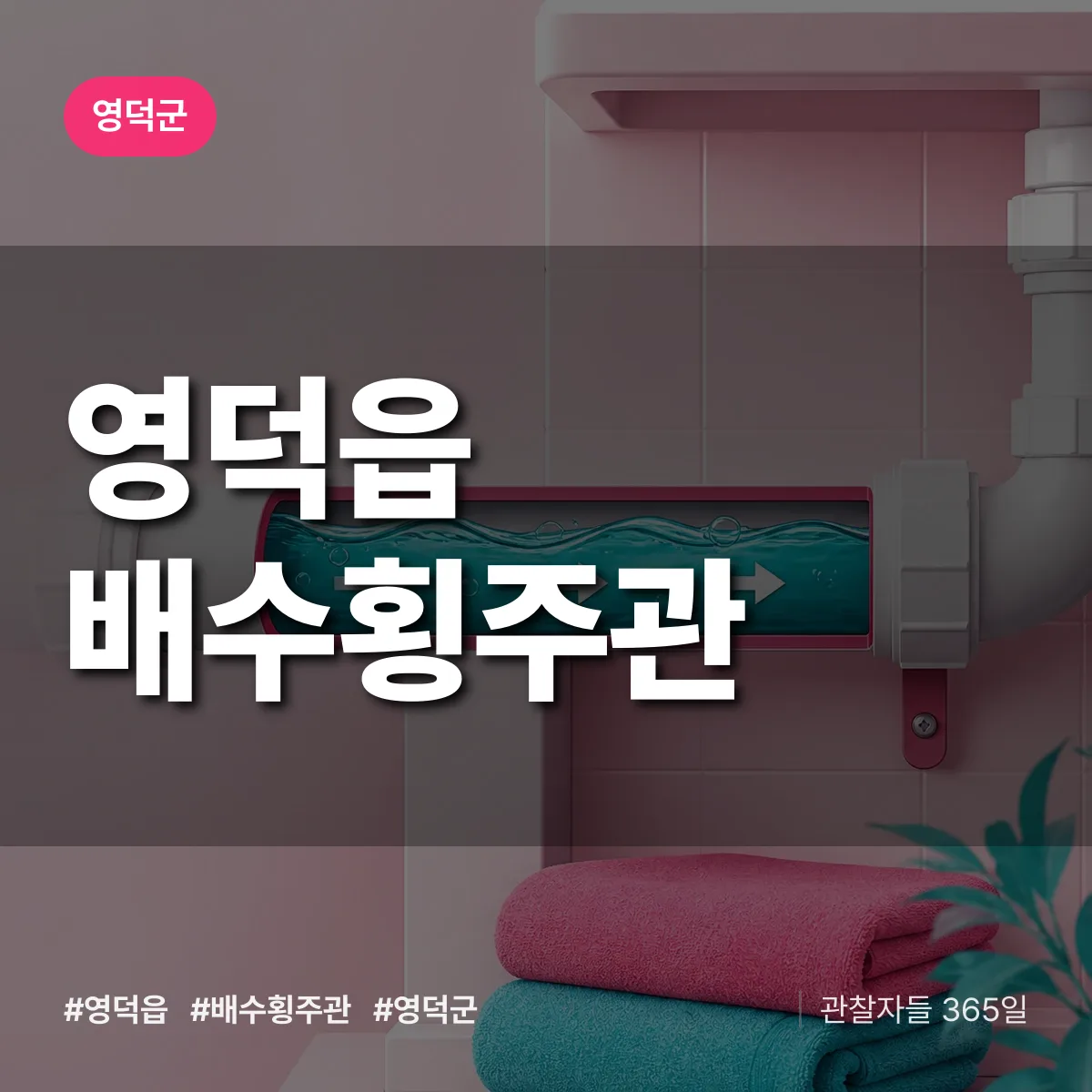 영덕읍 배수횡주관 배너