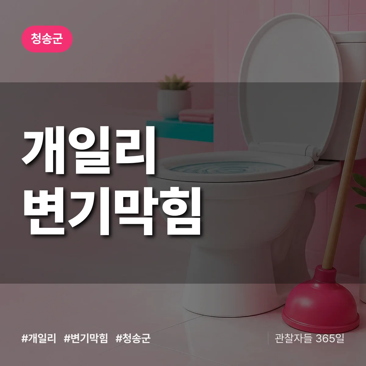 개일리 변기막힘 배너