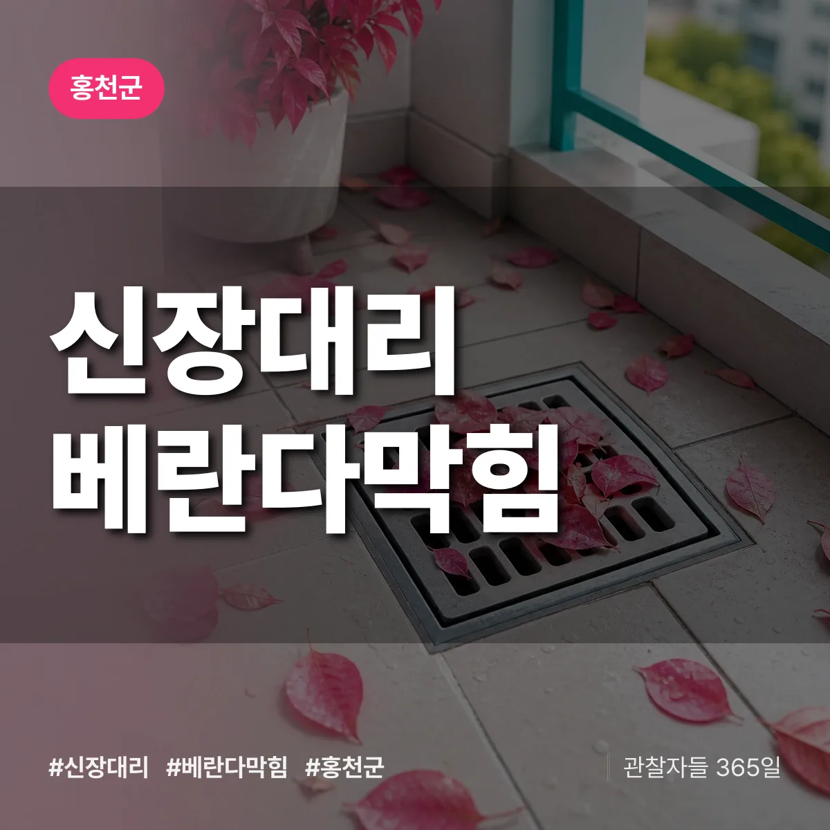 신장대리 베란다막힘 배너