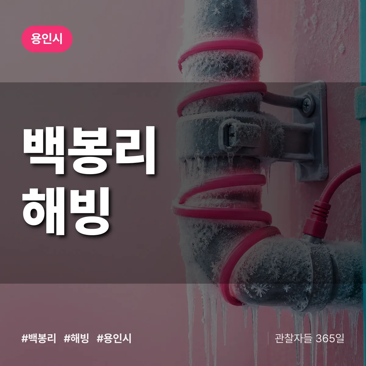 백봉리 해빙 배너