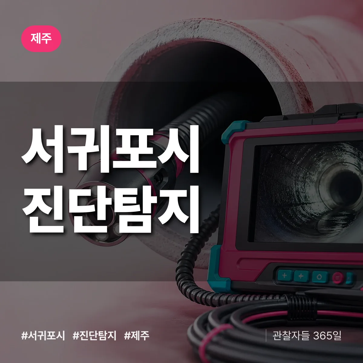 제주 서귀포시 진단/탐지 상담 배너