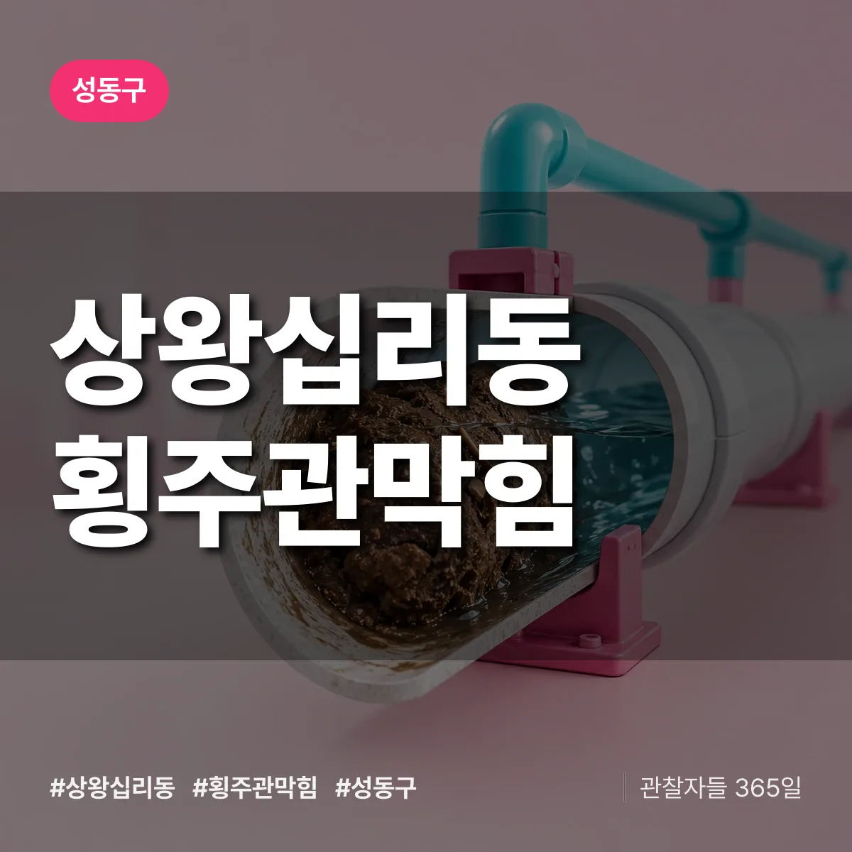 상왕십리동 횡주관막힘 배너