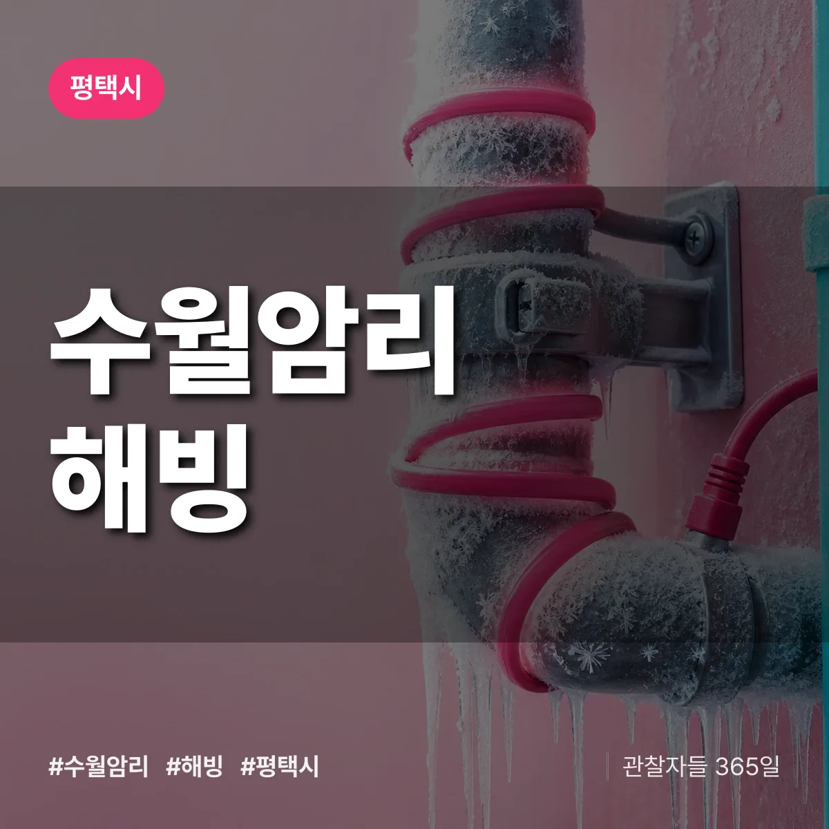 수월암리 해빙 배너